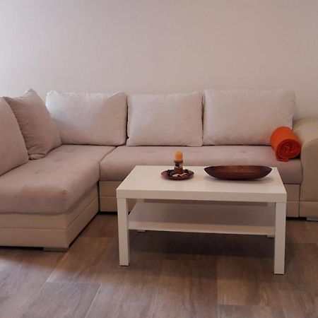 Apartment Nena- Apartman Sa Posebnim Ulazom U Prizemlju, Terasom I Zelenom Okucnicom Rakotule Extérieur photo