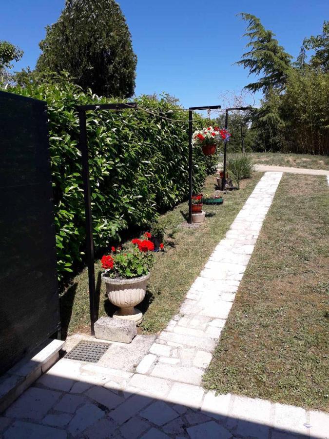 Apartment Nena- Apartman Sa Posebnim Ulazom U Prizemlju, Terasom I Zelenom Okucnicom Rakotule Extérieur photo