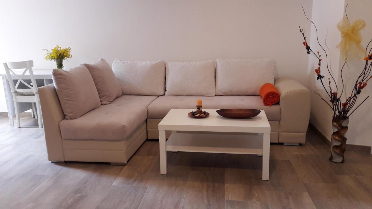 Apartment Nena- Apartman Sa Posebnim Ulazom U Prizemlju, Terasom I Zelenom Okucnicom Rakotule Extérieur photo
