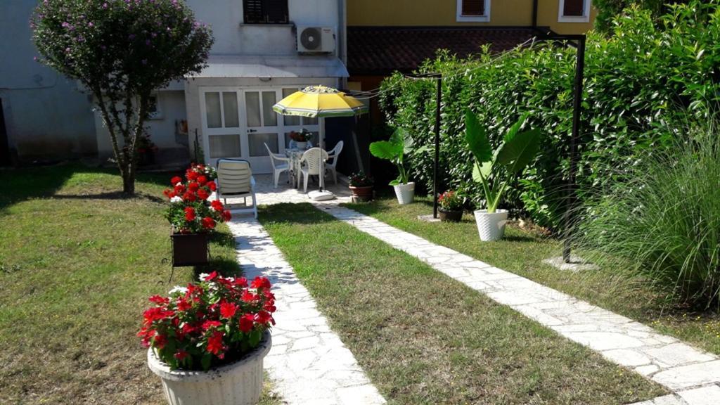 Apartment Nena- Apartman Sa Posebnim Ulazom U Prizemlju, Terasom I Zelenom Okucnicom Rakotule Extérieur photo